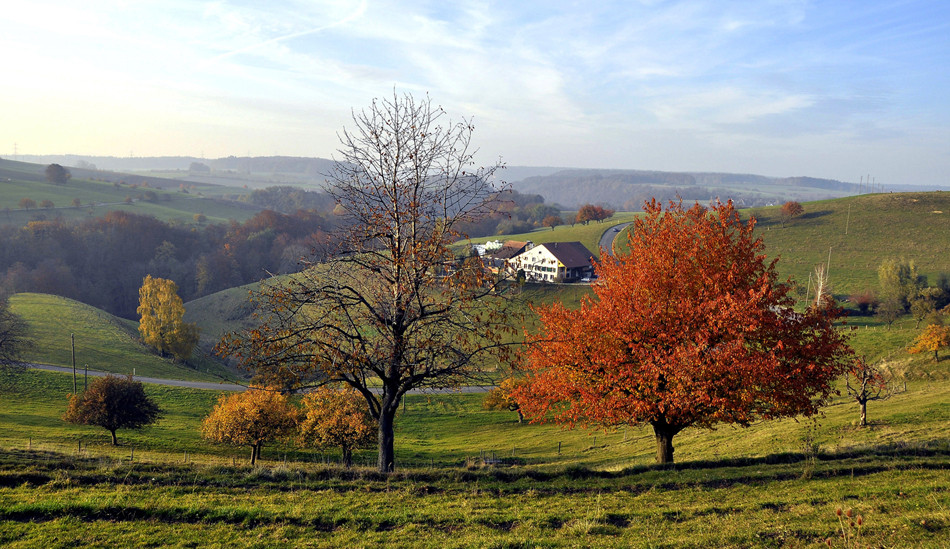 _ Oltingen Baselland _