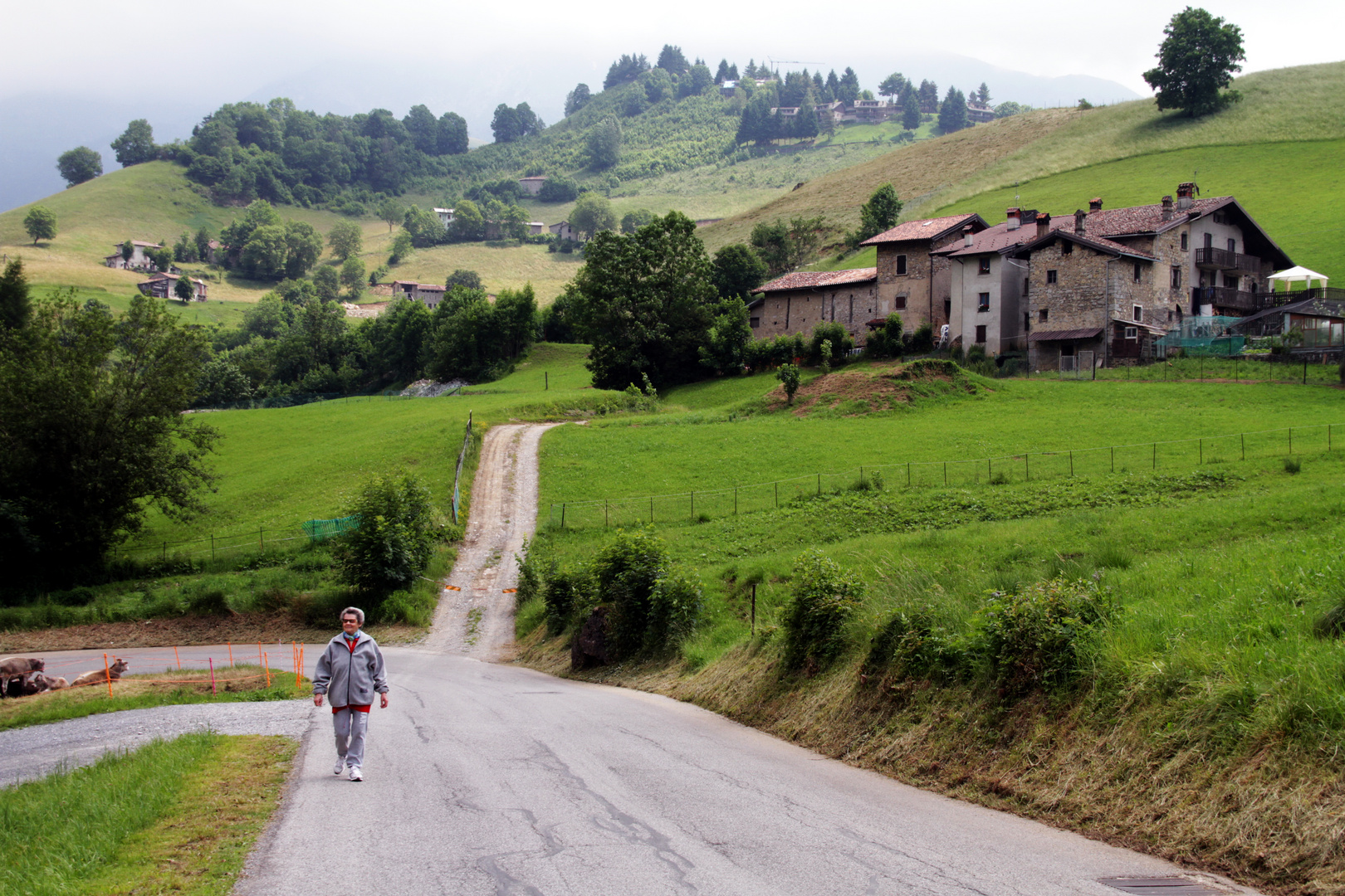 Oltre il colle