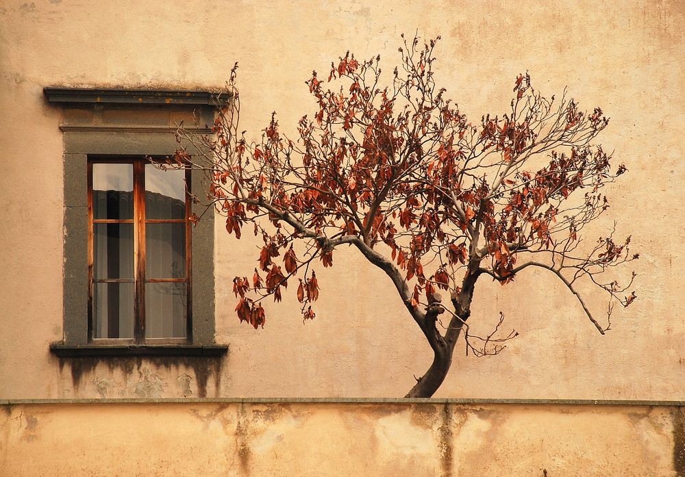 Oltre il giardino