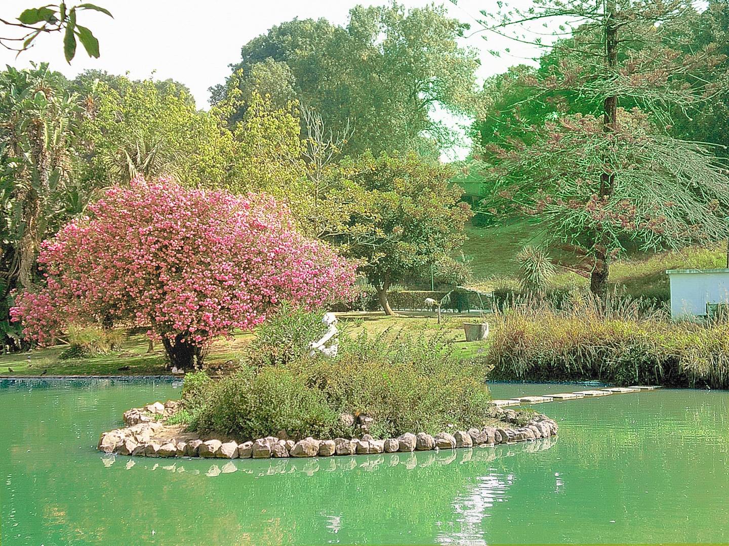 Oltre il Giardino