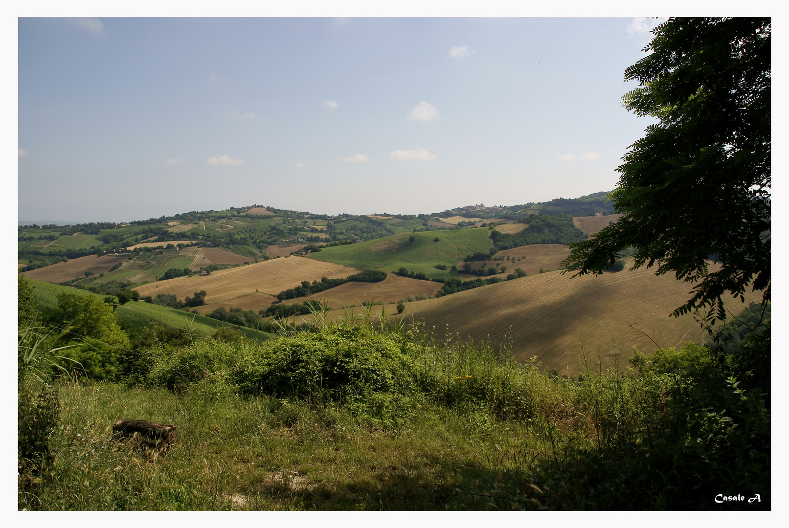 Oltre la piazzola