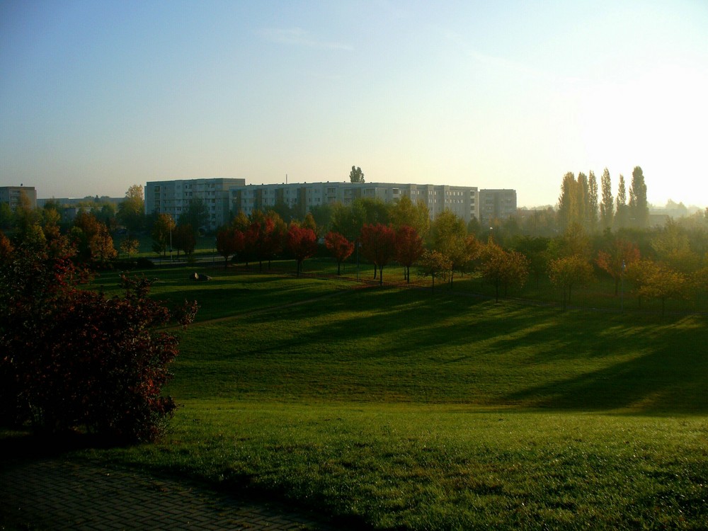 Olvenstedt am morgen