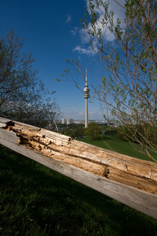 Olympia auf dem Holzweg?