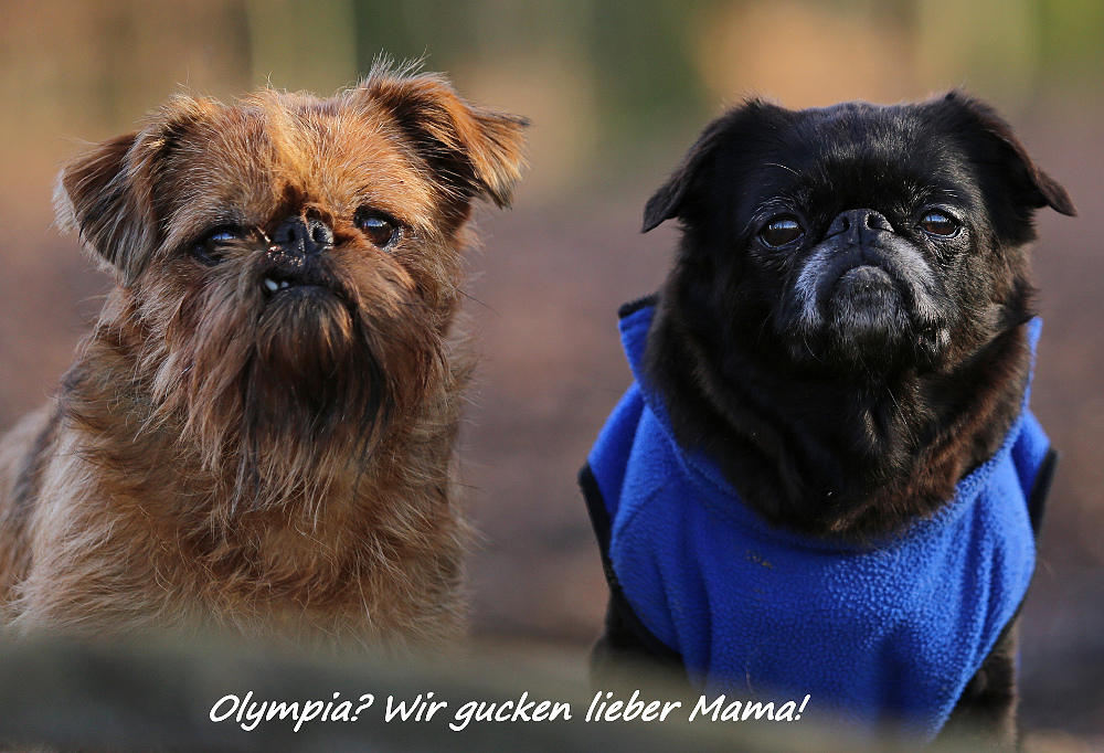 Olympia? ....