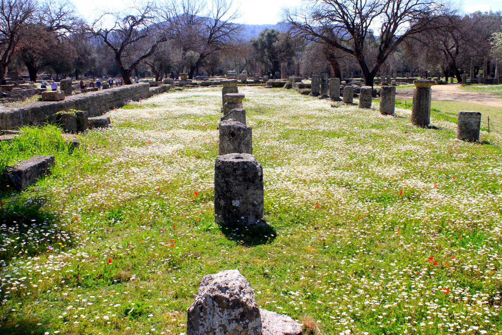 Olympia im Frühling