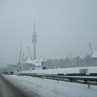 Olympiagelände(G.-Brauchle Ring) im Winter