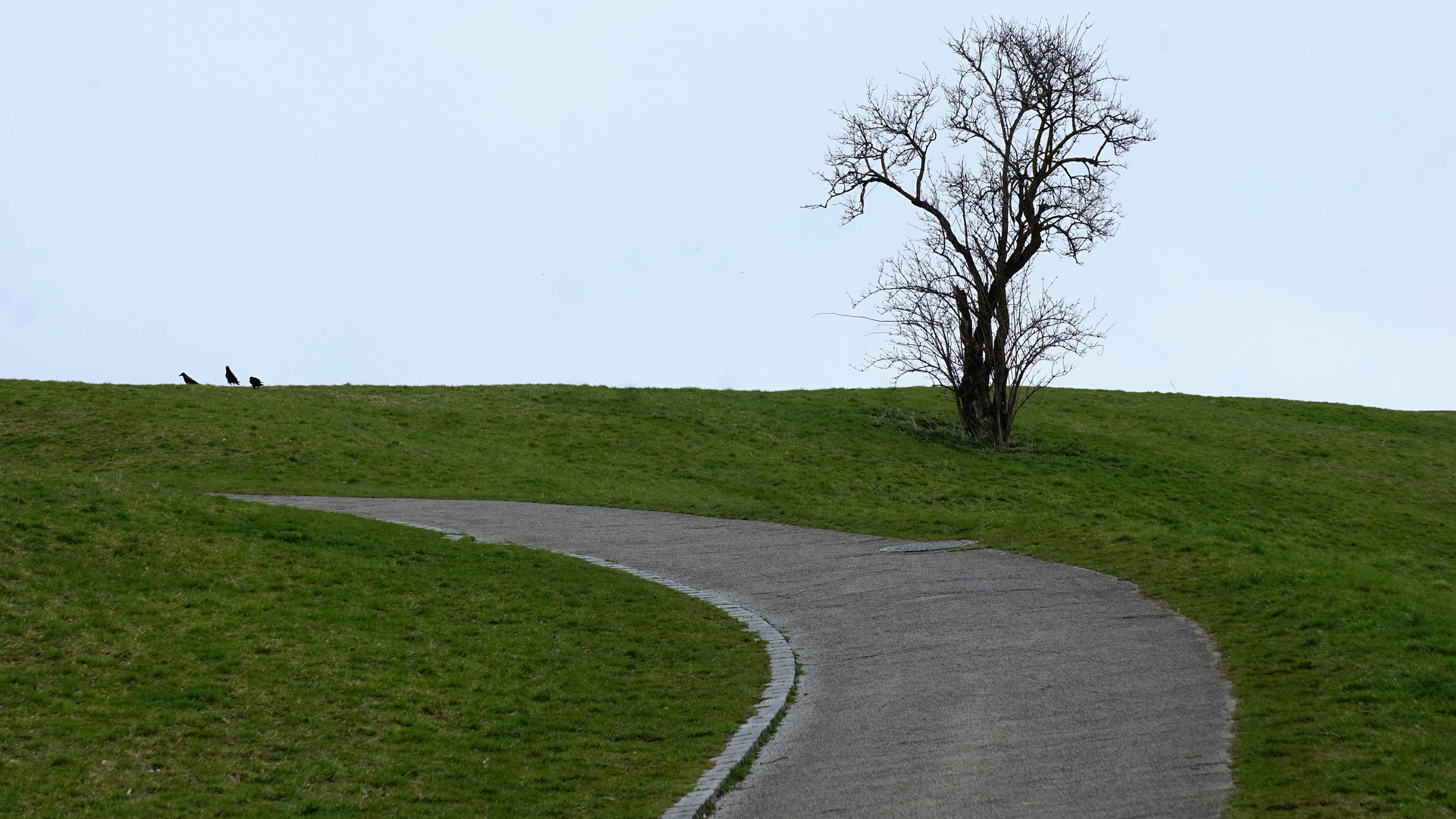 Olympiapark