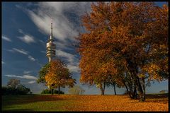 Olympiapark im Farbenrausch