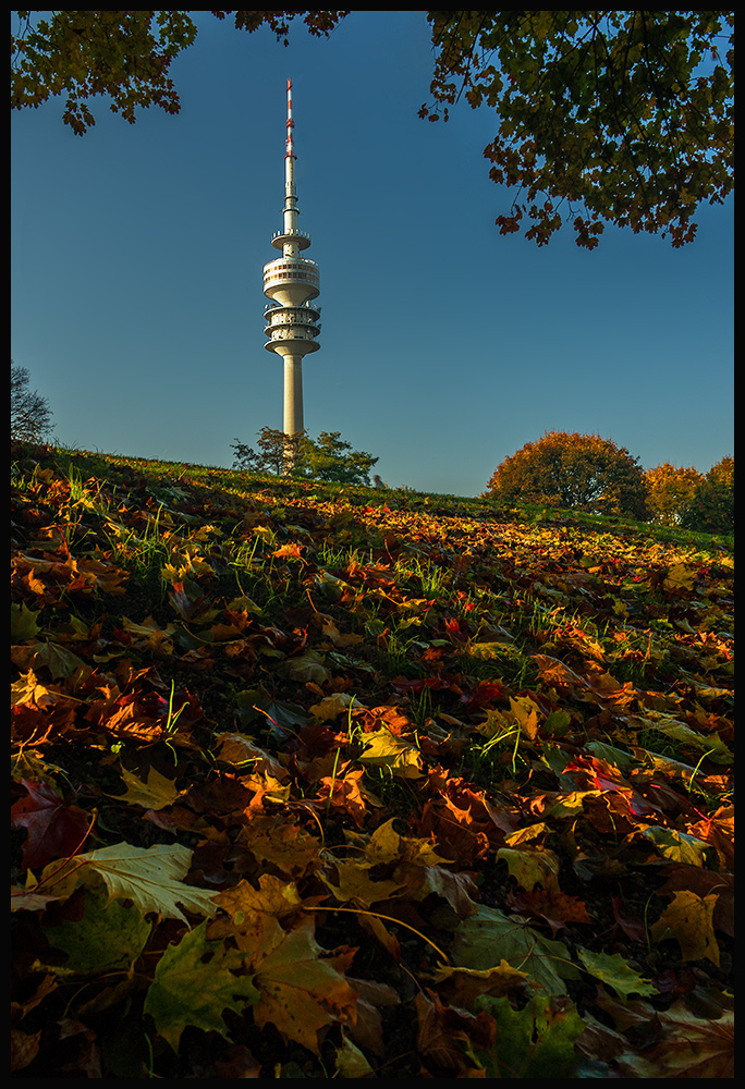 Olympiapark im Herbstlicht