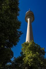 Olympiaturm mit Bäumen