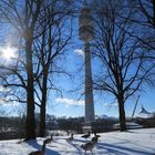 Olympiaturm mit Gänsen