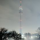 Olympiaturm nachts im Nebel