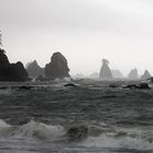 Olympic National Parc