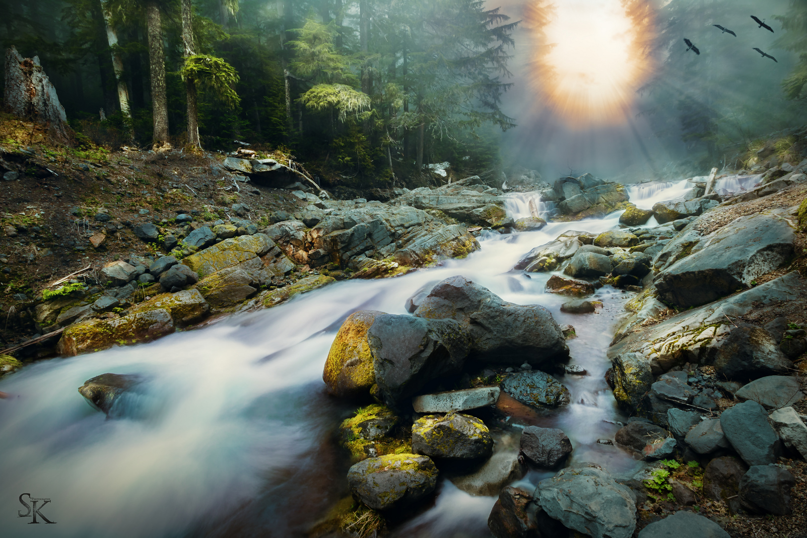 Olympic National Park