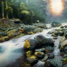 Olympic National Park