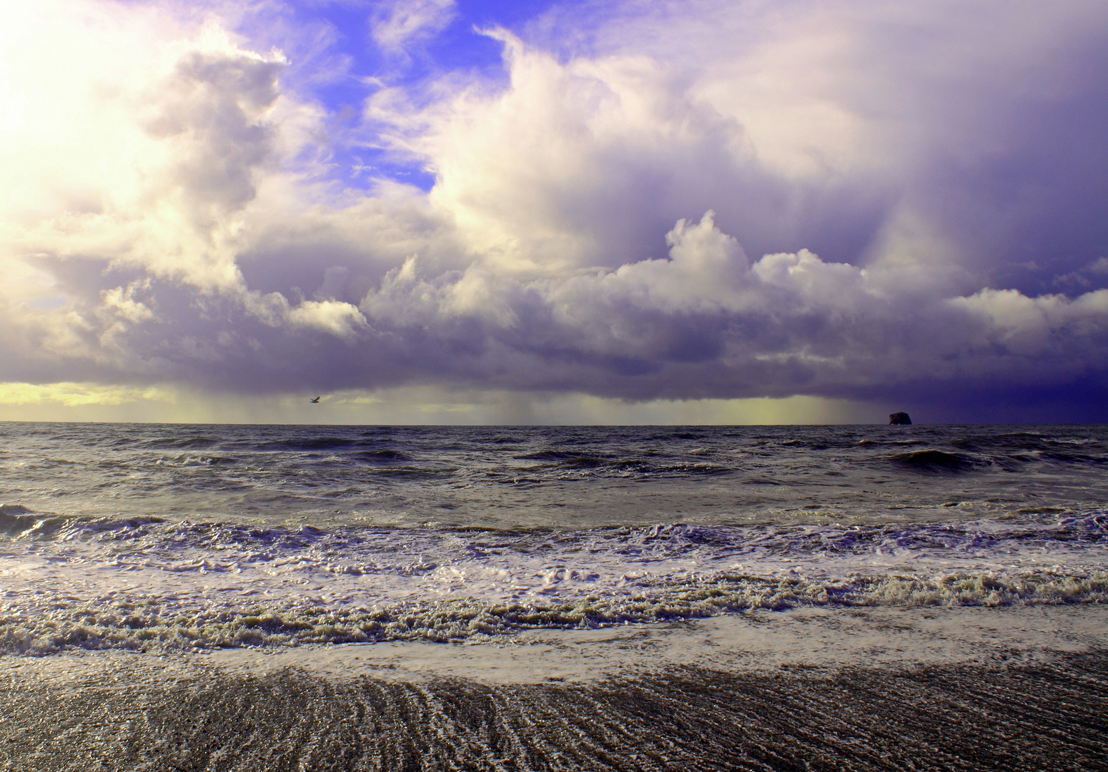 Olympic National Park