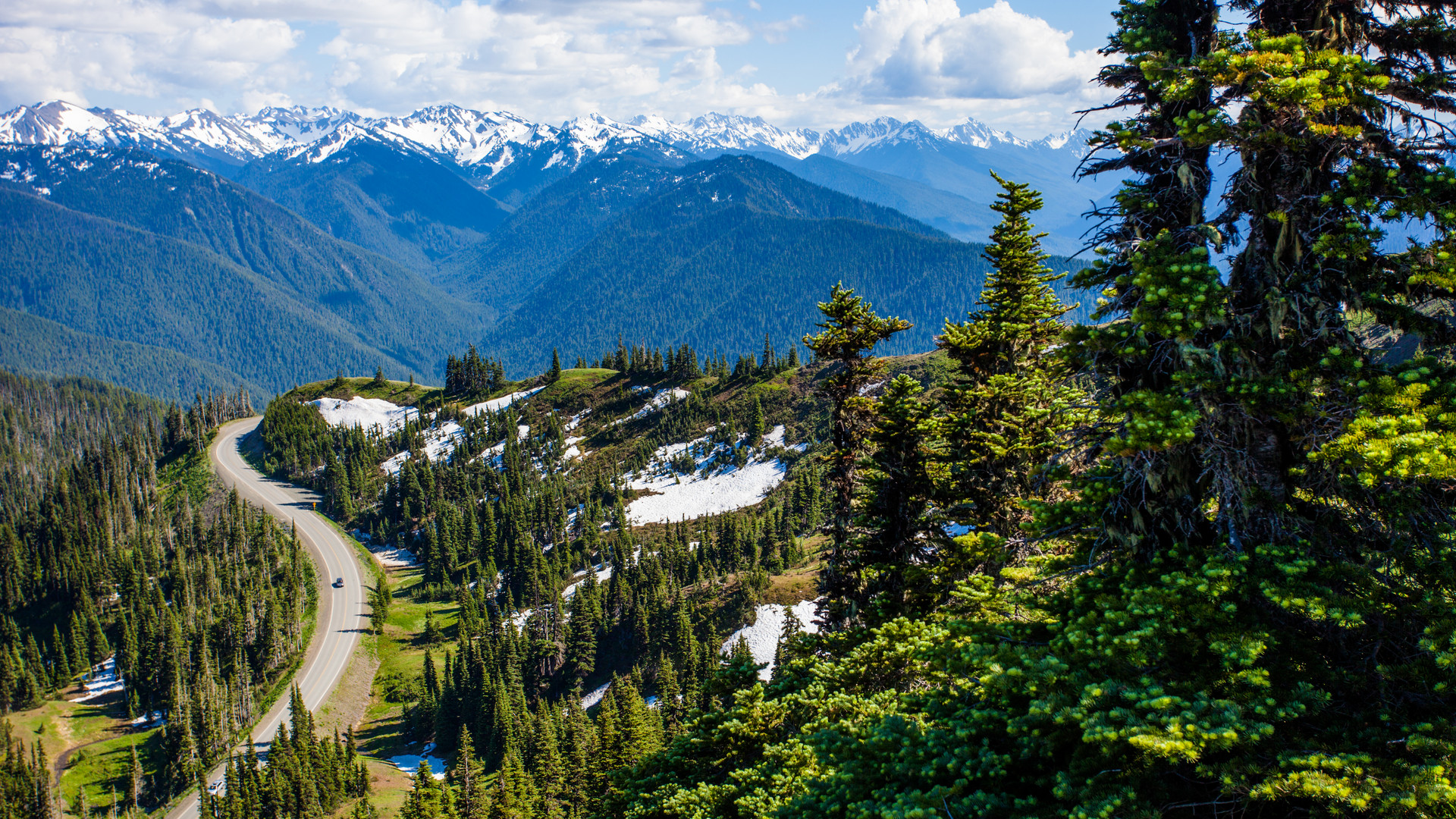 Olympic National Park