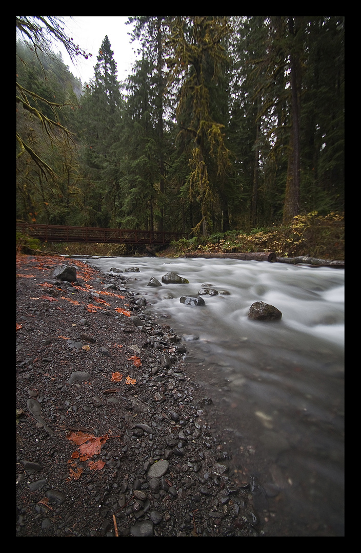 Olympic National Park I