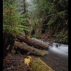 Olympic National Park II