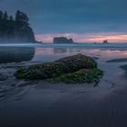 Olympic National Park - Second Beach