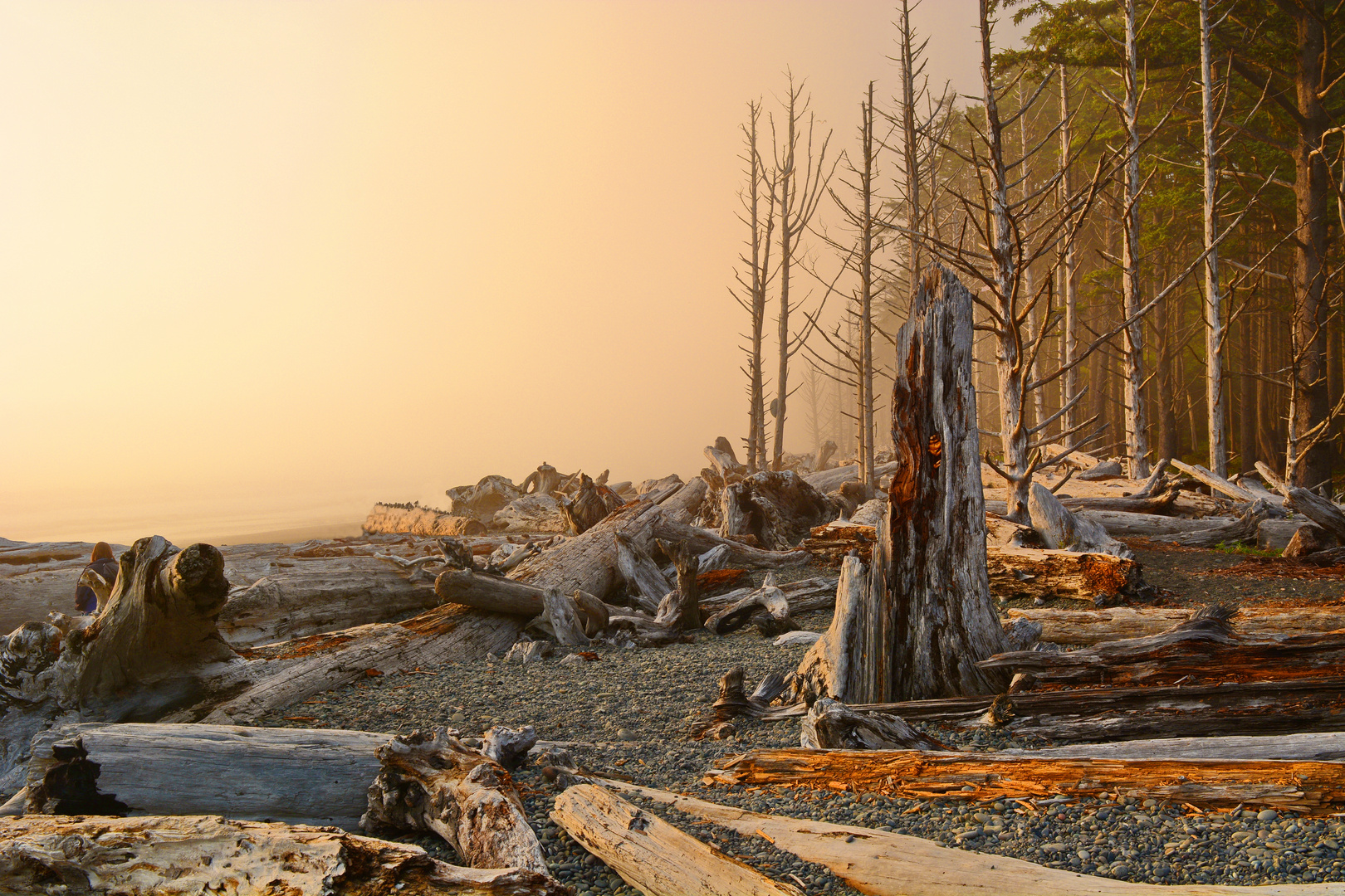 Olympic National Park - Sunset am Rialto Beach