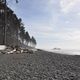 Olympic National Park - USA - Strand