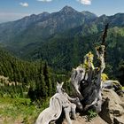 Olympic National Park, Washington