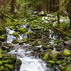 Olympic Nationalpark waterfall