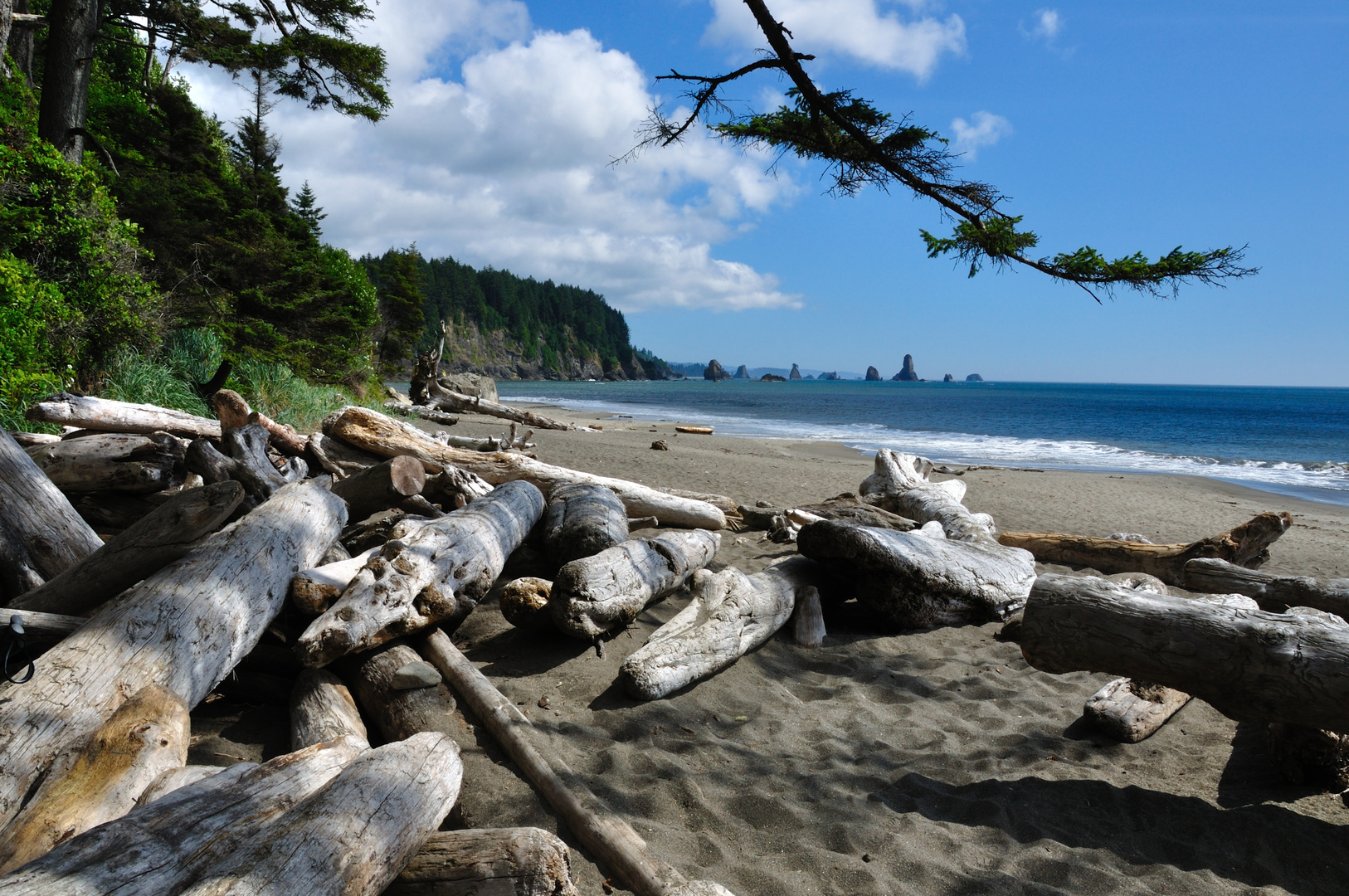 Olympic Peninsula: third beach