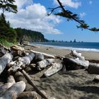 Olympic Peninsula: third beach