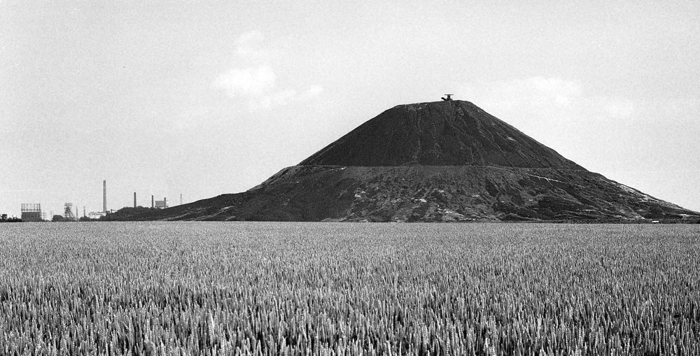 Olympus Mons