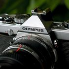 Olympus OM1