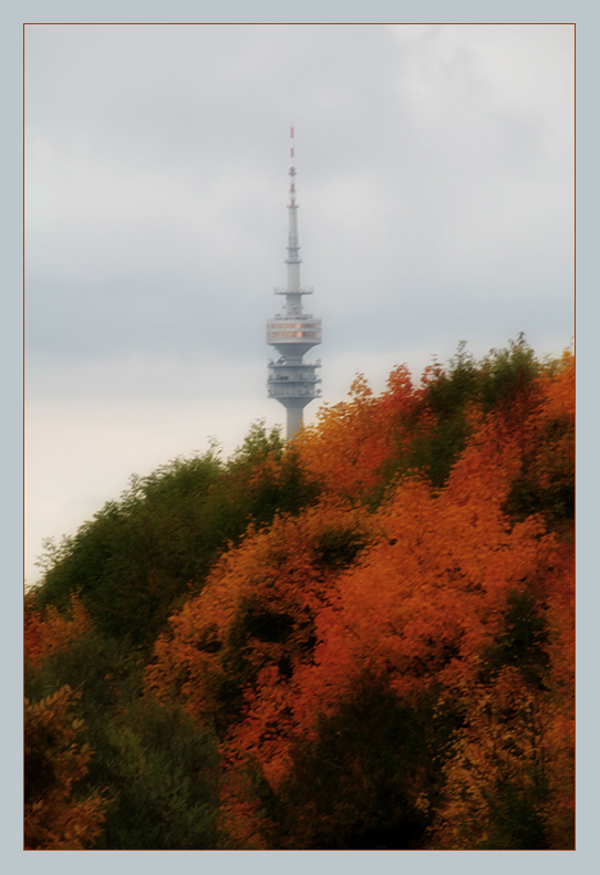 Olyturm vom herbstlichen Moosach gesehen