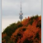 Olyturm vom herbstlichen Moosach gesehen