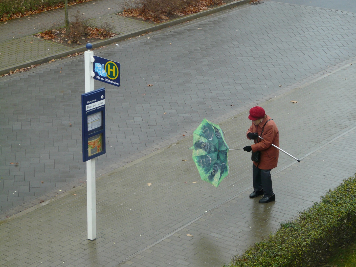Oma im Sturm mit Stock und aufgeklapptem Schirm in zu ...