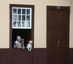 Oma mit Hund