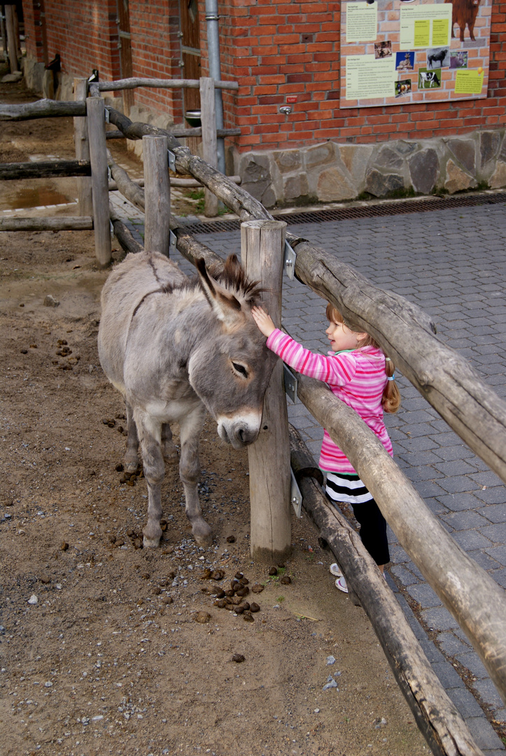 Oma sagt mich hat der Esel im Galopp verloren....