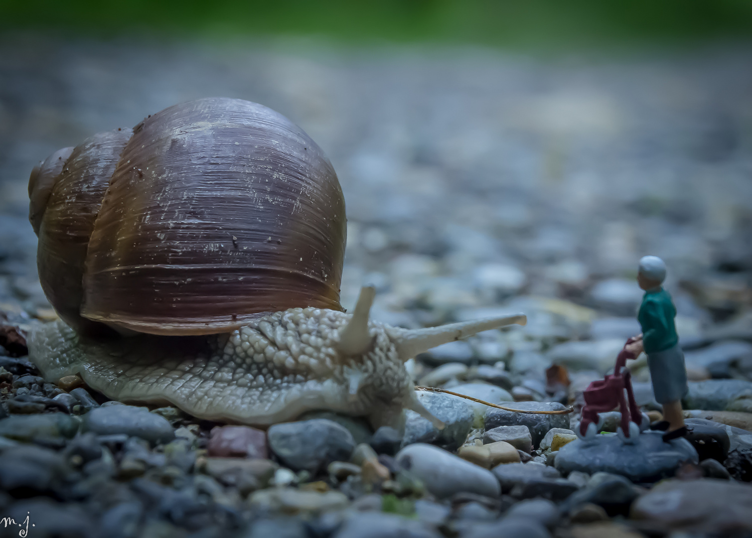 Oma trifft Schnecke