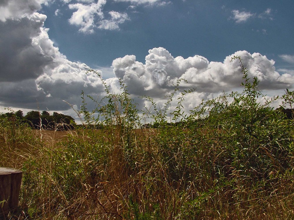 Oma und Opa in den Wolken