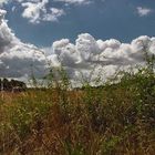 Oma und Opa in den Wolken