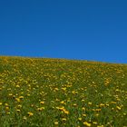 Omaggio a Franco Fontana