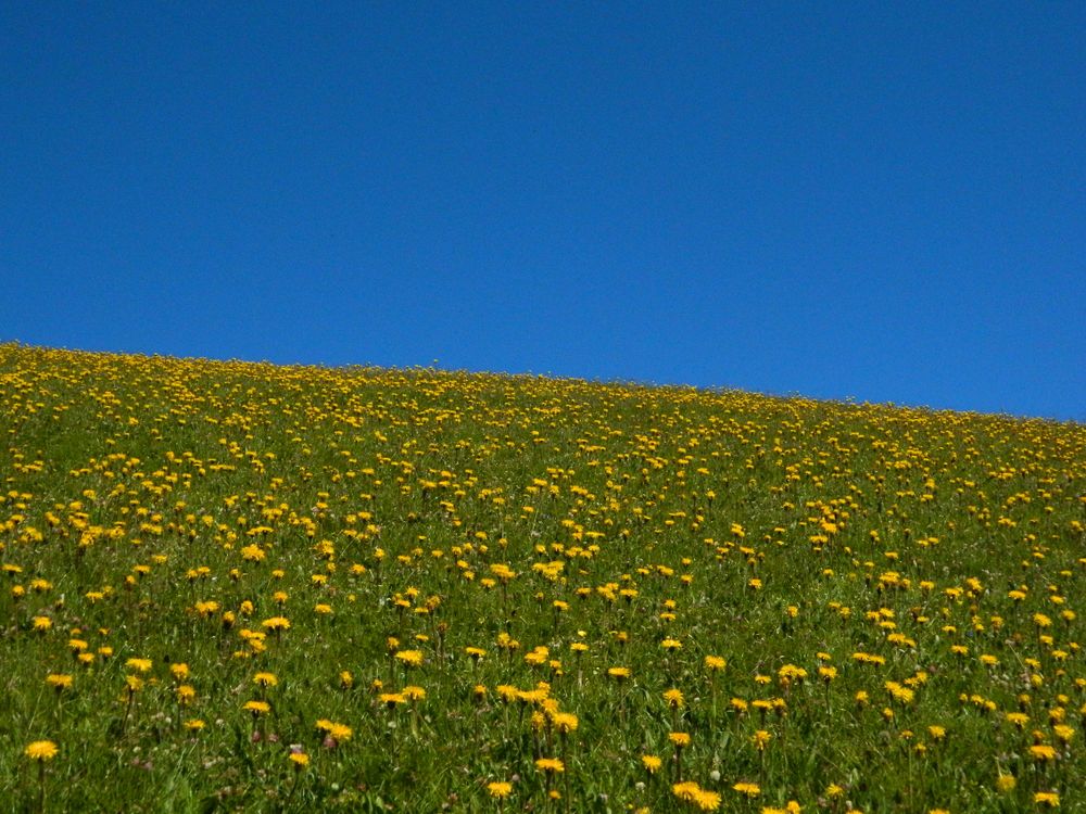 Omaggio a Franco Fontana