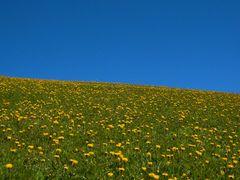 Omaggio a Franco Fontana