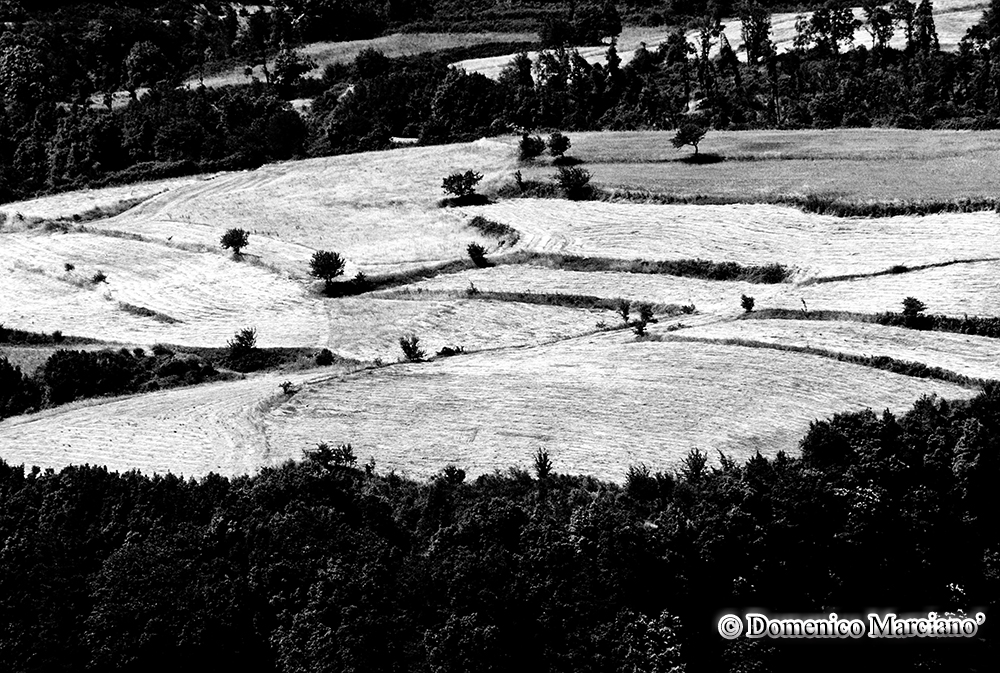 Omaggio a Giacomelli