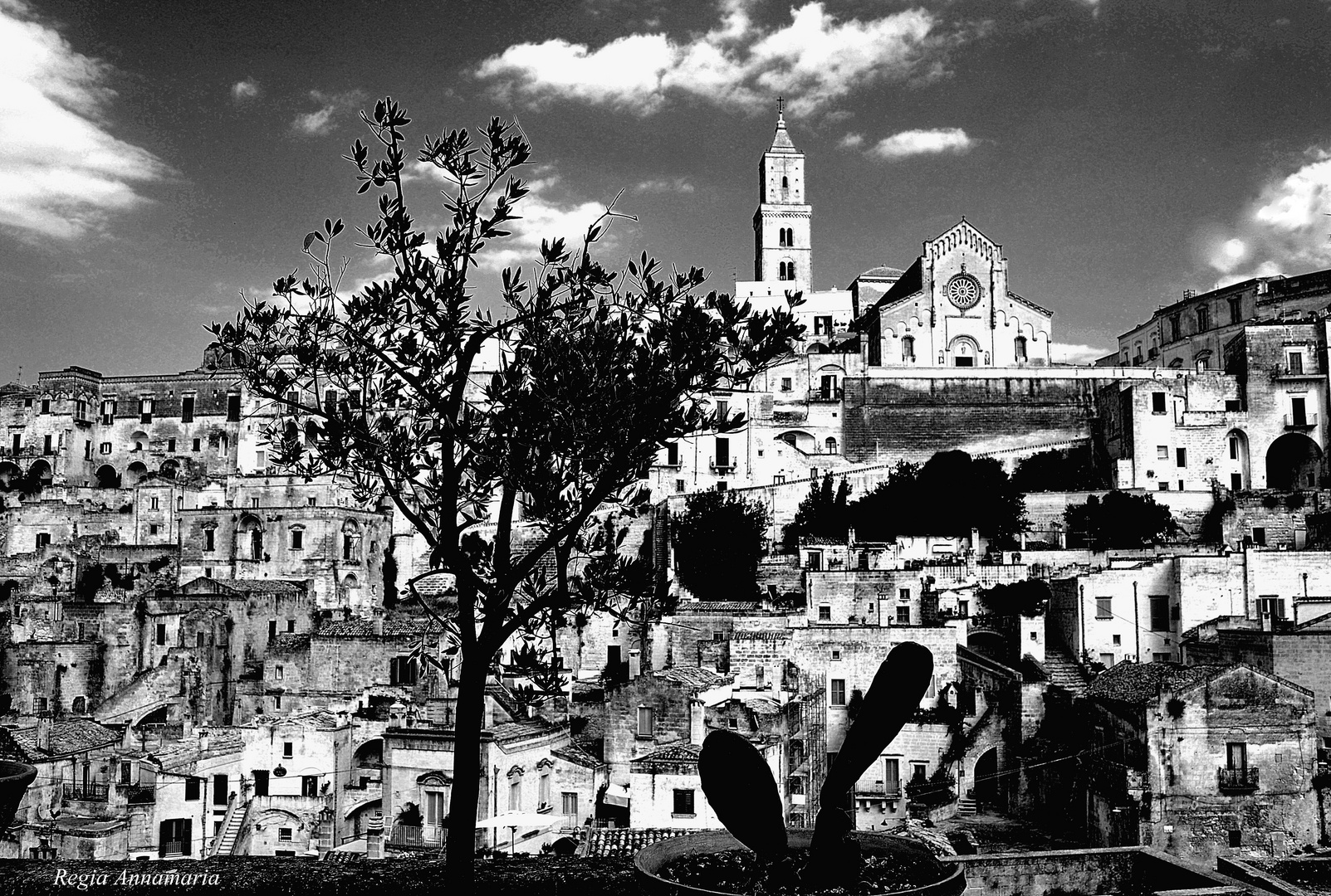 OMAGGIO A MATERA