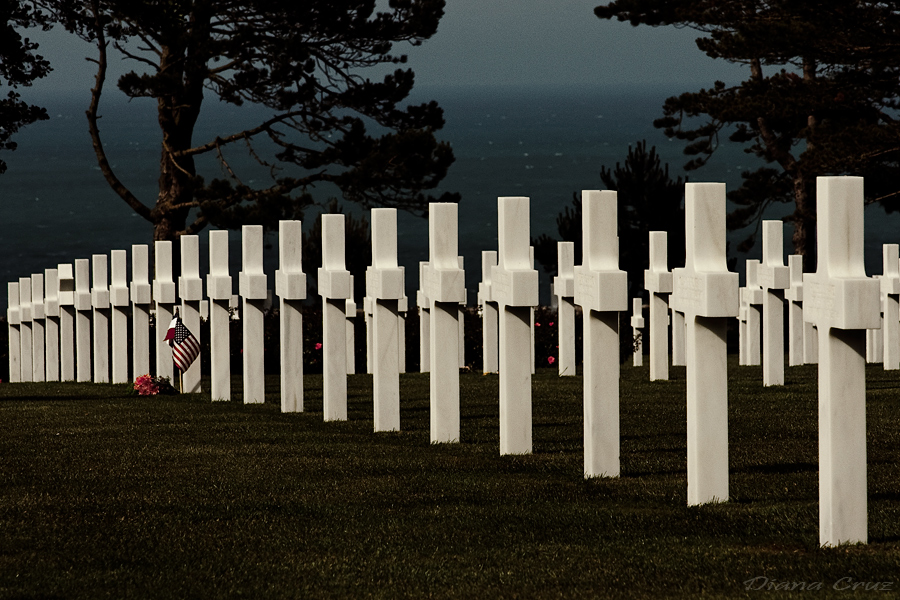 ~~~ omaha beach ~~~