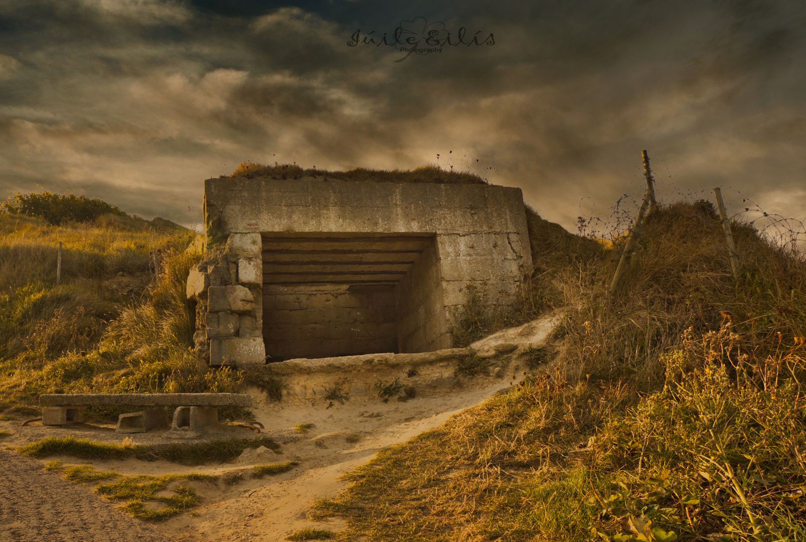 *** Omaha Beach ***