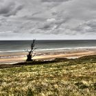 Omaha Beach