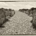 Omaha Beach