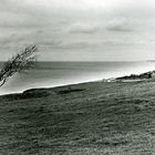 Omaha beach